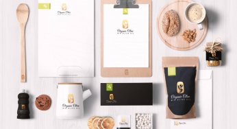 Branding jungle: do the logo, brand, and trademark actually differ?