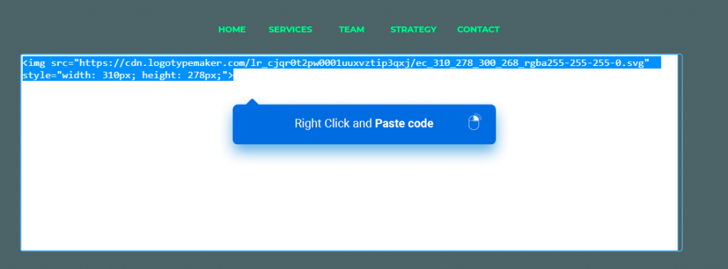 Logo HTML Embed Code - LogotypeMaker